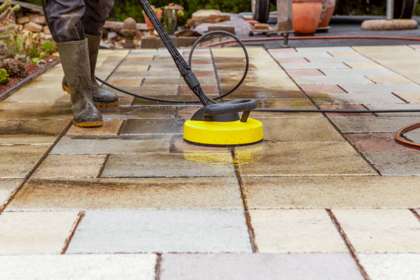 Best Animal Enclosure Cleaning  in Plainfield, NJ