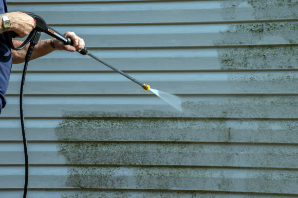 Best Roof Washing  in Plainfield, NJ